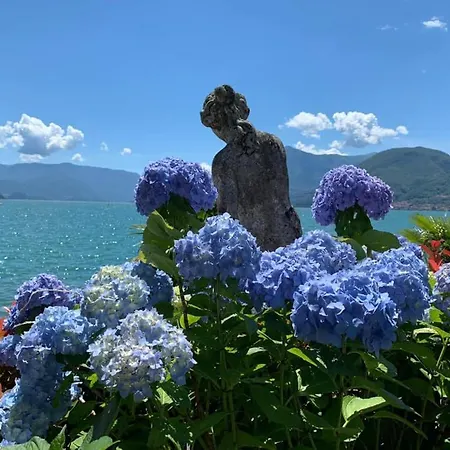 אתר קמפינג View