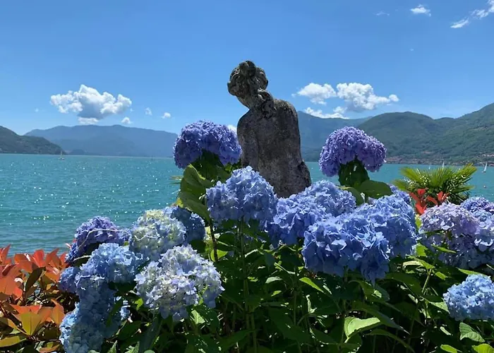 Campeggio View